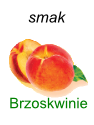 HERBALIFE Herbatka Rozpuszczalna 100g - brzoskwiniowy smak